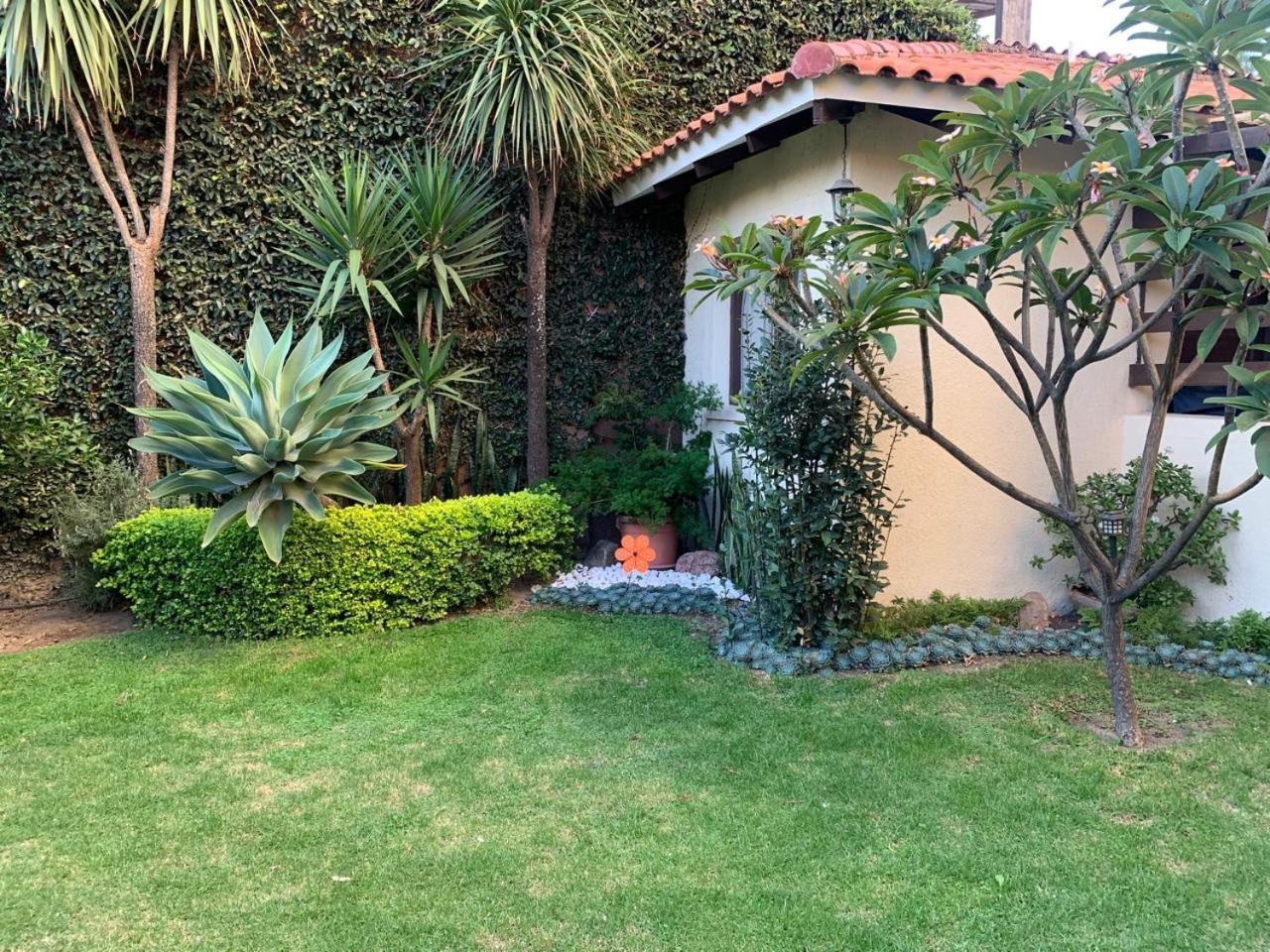 Apartamento Con Jardin Cochabamba Dış mekan fotoğraf