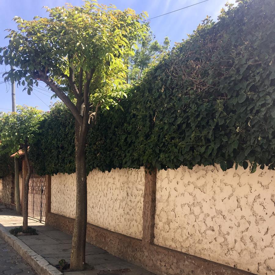 Apartamento Con Jardin Cochabamba Dış mekan fotoğraf